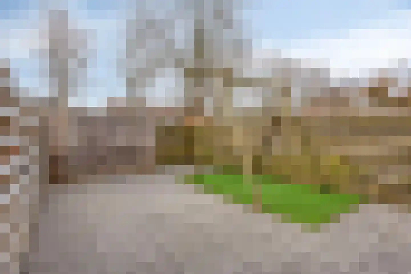 Dovenetel 2 Zwaag thumbnail 32