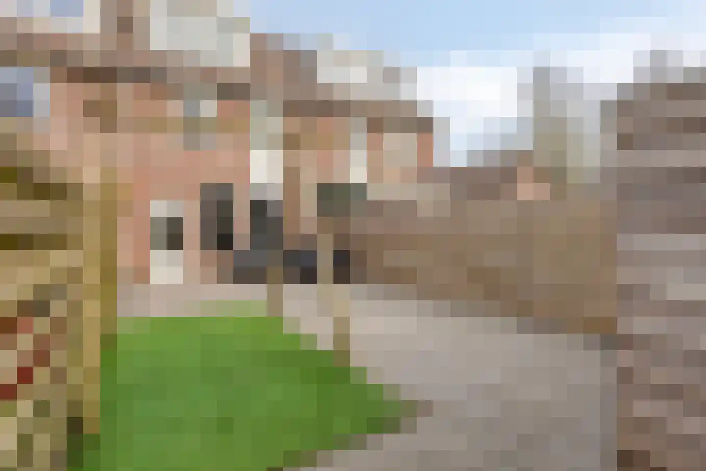 Dovenetel 2 Zwaag thumbnail 33