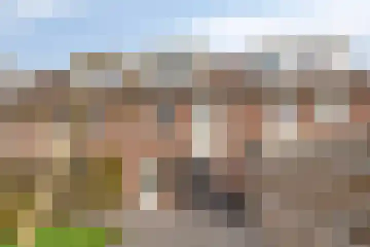 Dovenetel 2 Zwaag thumbnail 35