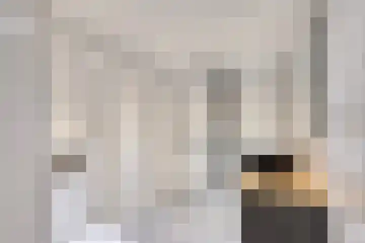 Dovenetel 2 Zwaag thumbnail 5