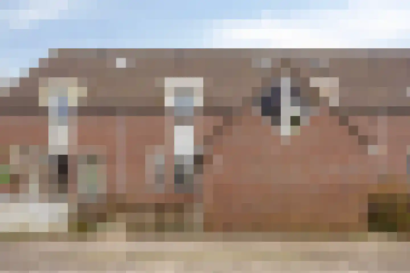 Dovenetel 2 Zwaag thumbnail 6