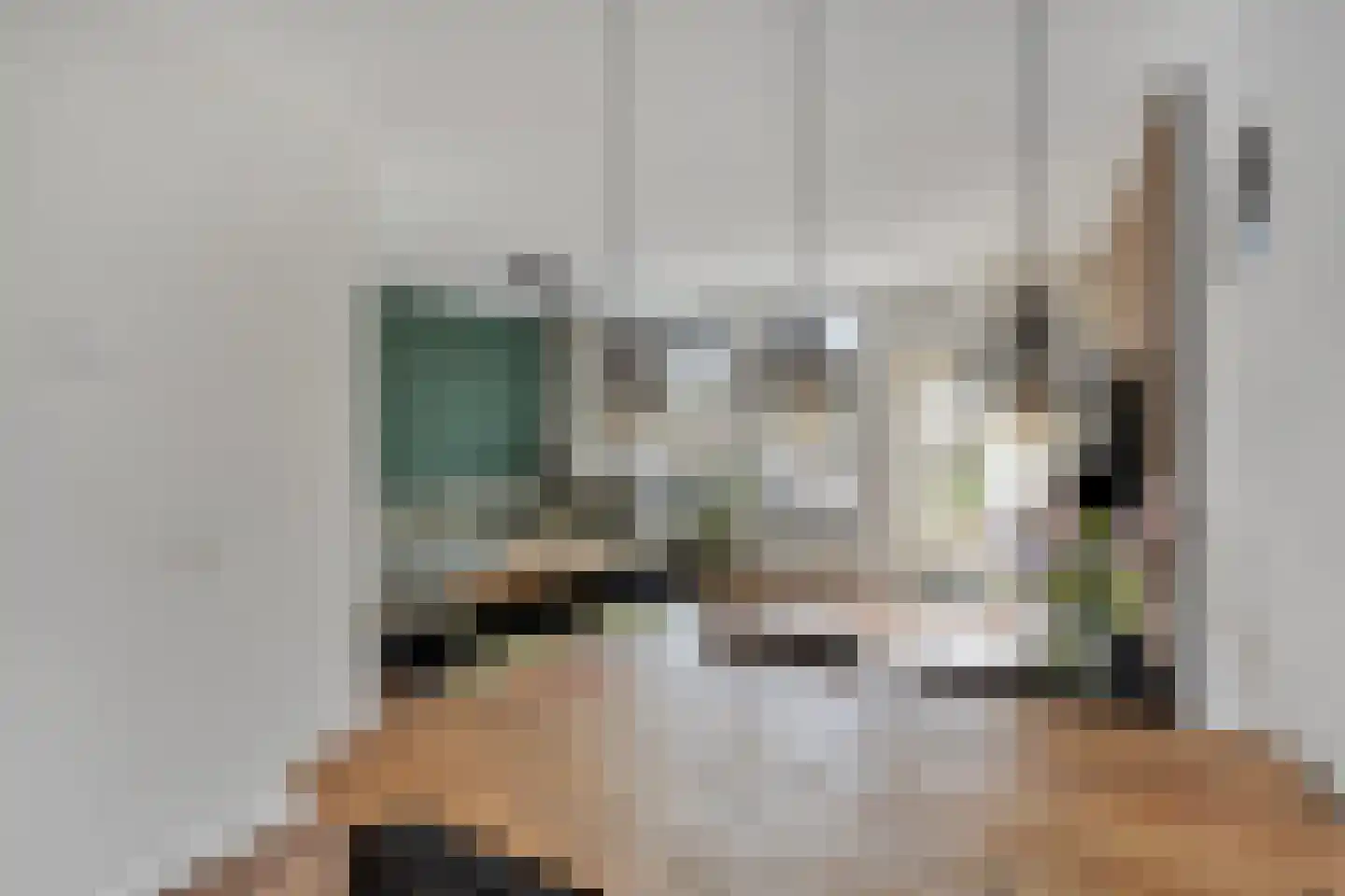 Dovenetel 2 Zwaag thumbnail 8