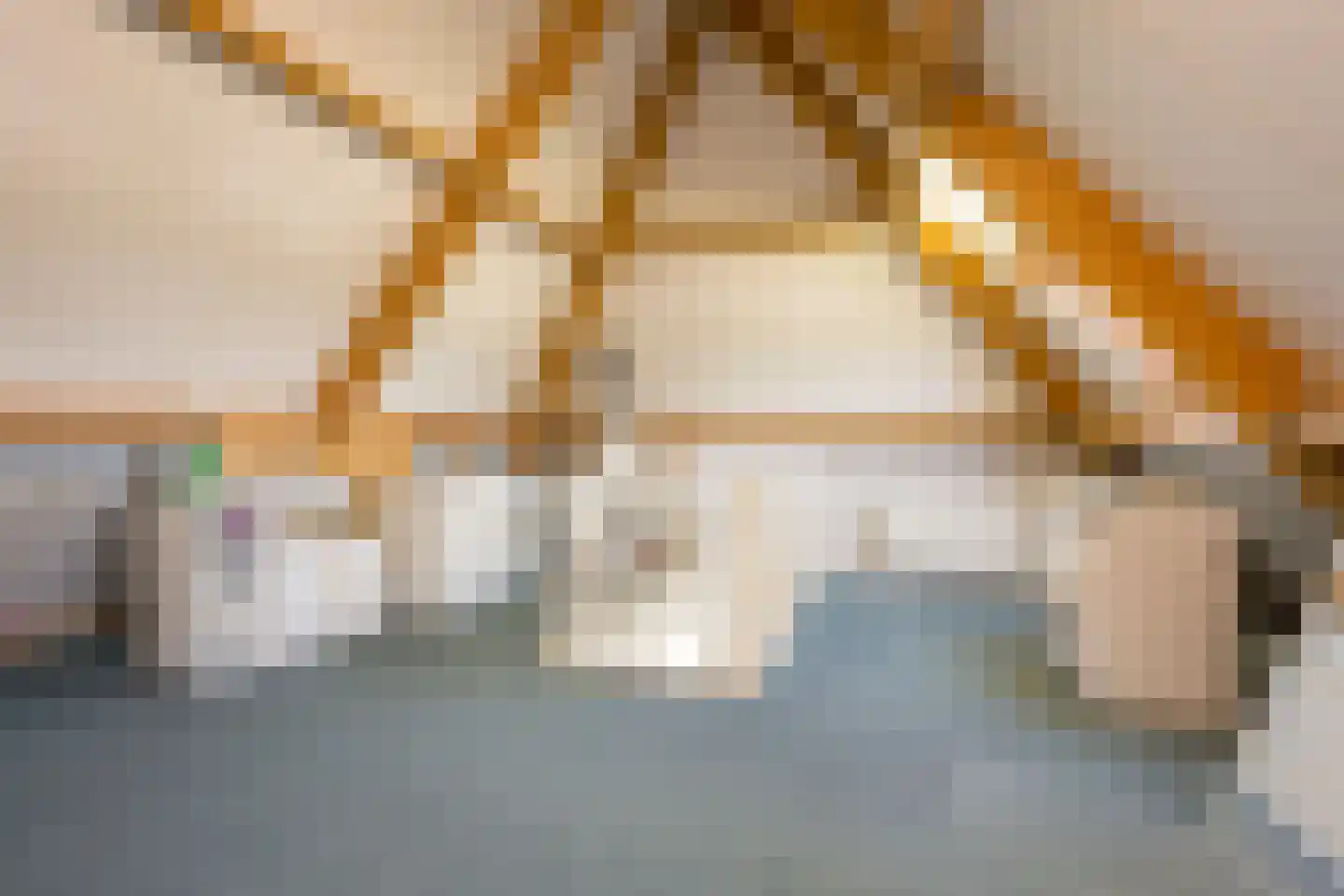 Dovenetel 20 Nijkerk thumbnail 30