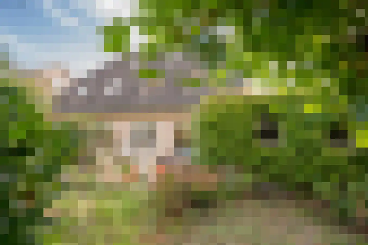 Dovenetel 20 Nijkerk thumbnail 32