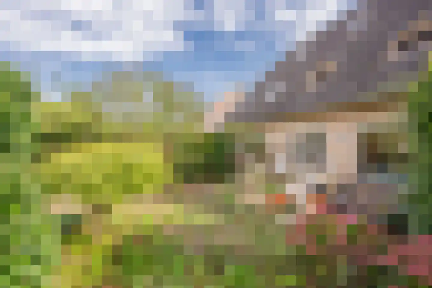 Dovenetel 20 Nijkerk thumbnail 33