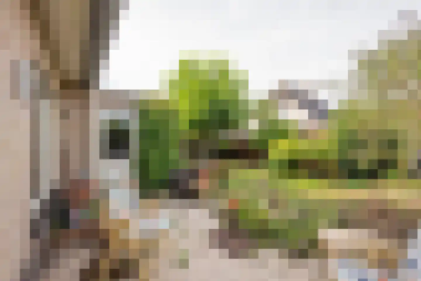Dovenetel 20 Nijkerk thumbnail 35
