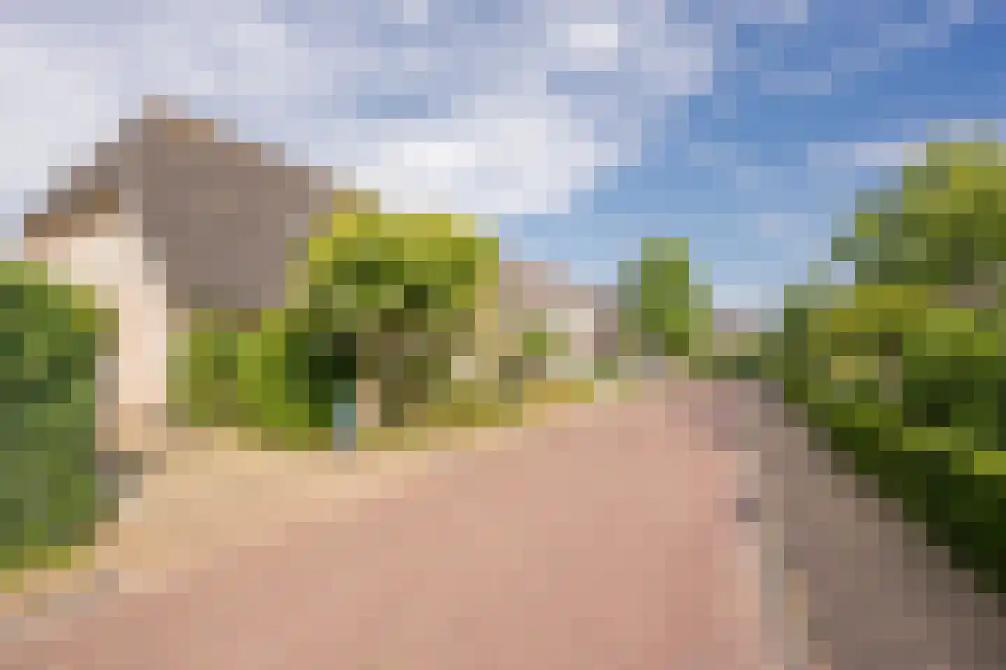 Dovenetel 20 Nijkerk thumbnail 36