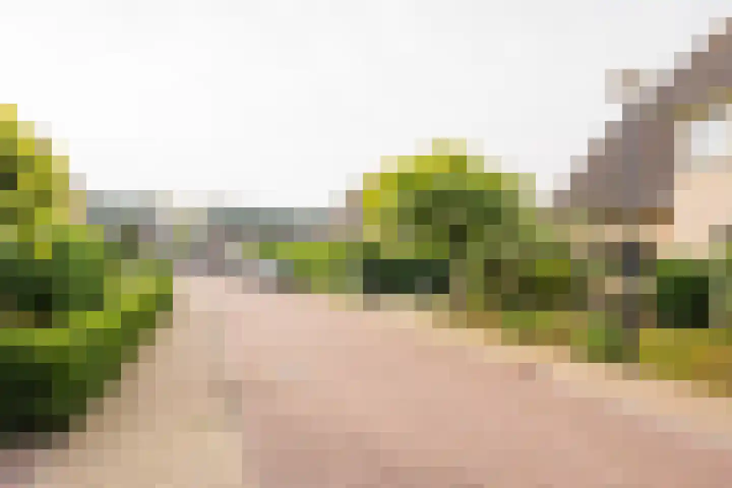 Dovenetel 20 Nijkerk thumbnail 37