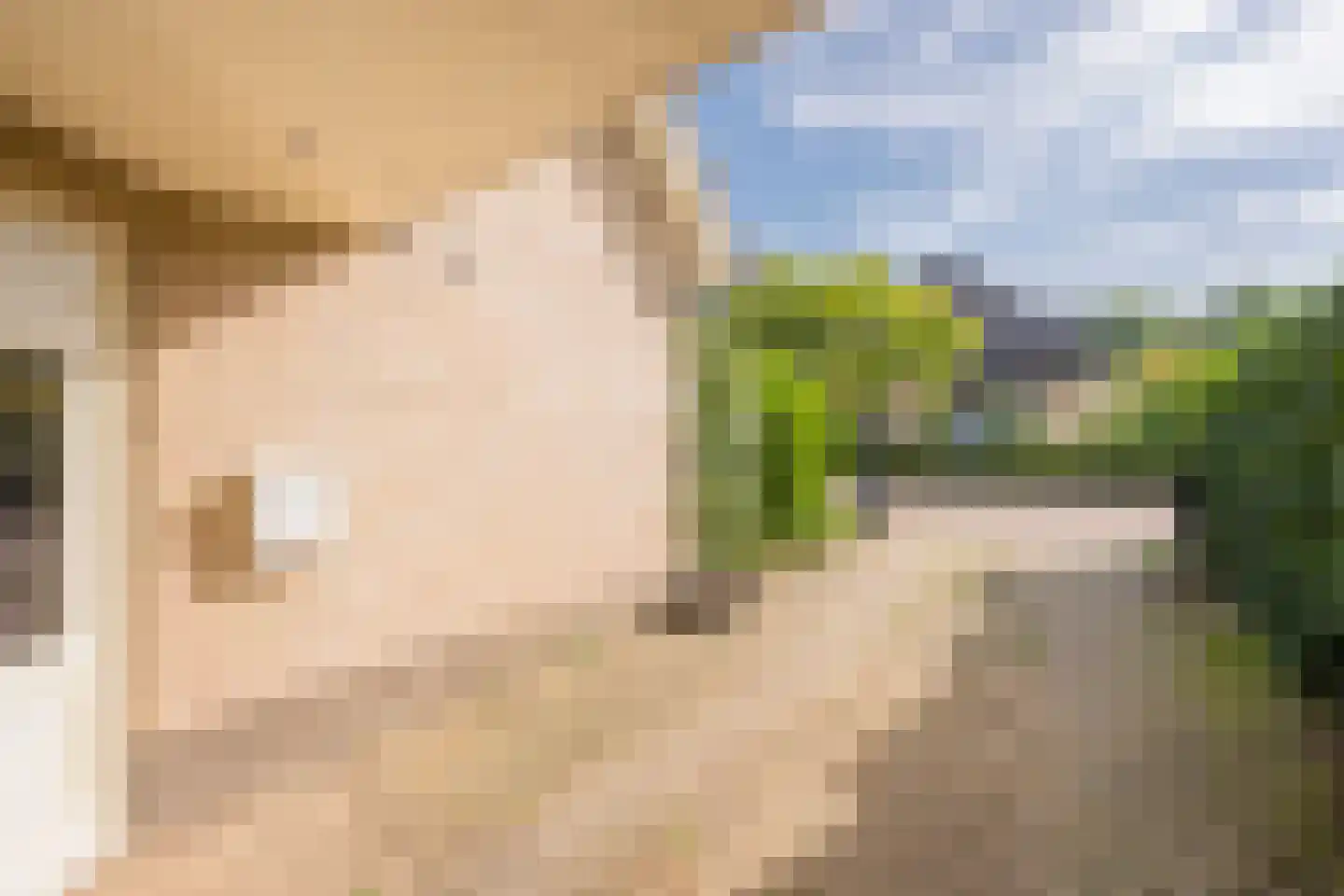 Dovenetel 20 Nijkerk thumbnail 38