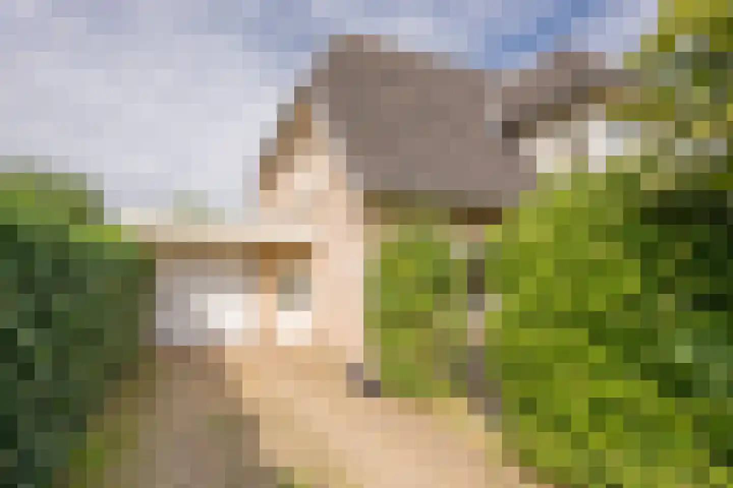 Dovenetel 20 Nijkerk thumbnail 39