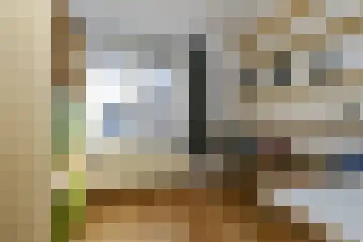 Dovenetel 21 Haelen thumbnail 11