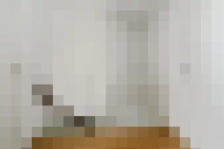 Dovenetel 21 Haelen thumbnail 13