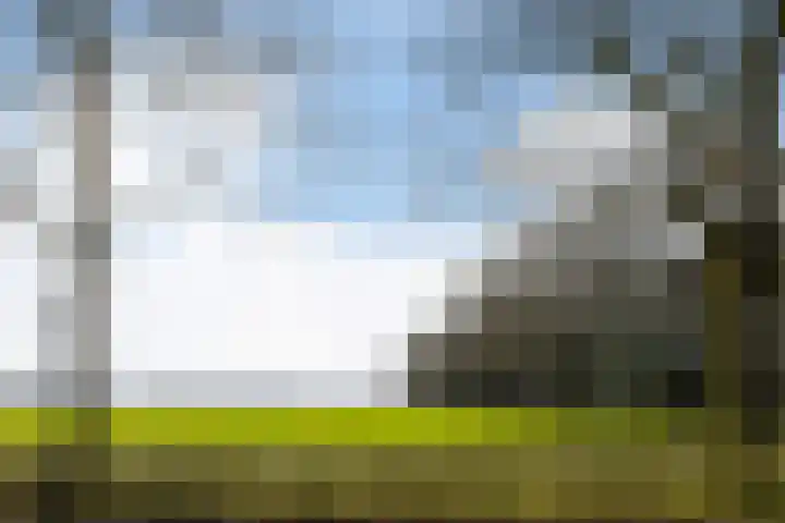 Dovenetel 21 Haelen thumbnail 15