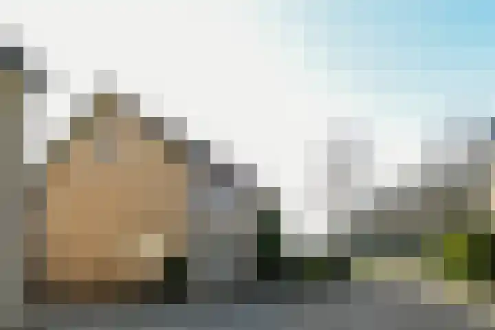 Dovenetel 21 Haelen thumbnail 18