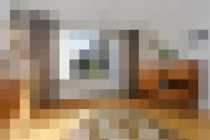 Dovenetel 21 Haelen thumbnail 5