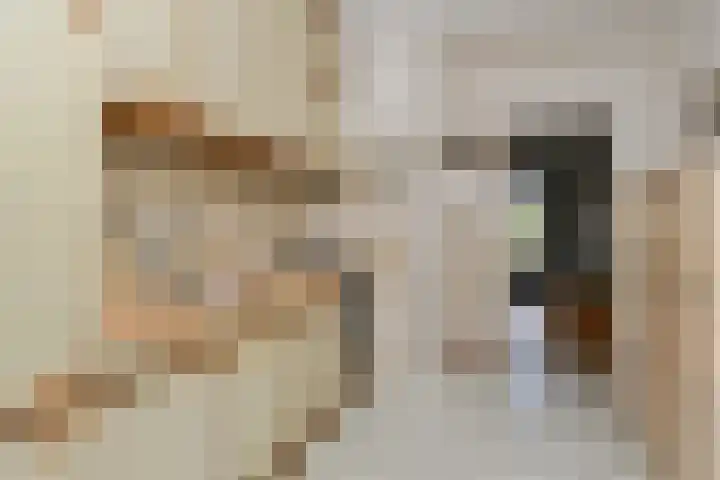 Dovenetel 21 Haelen thumbnail 7