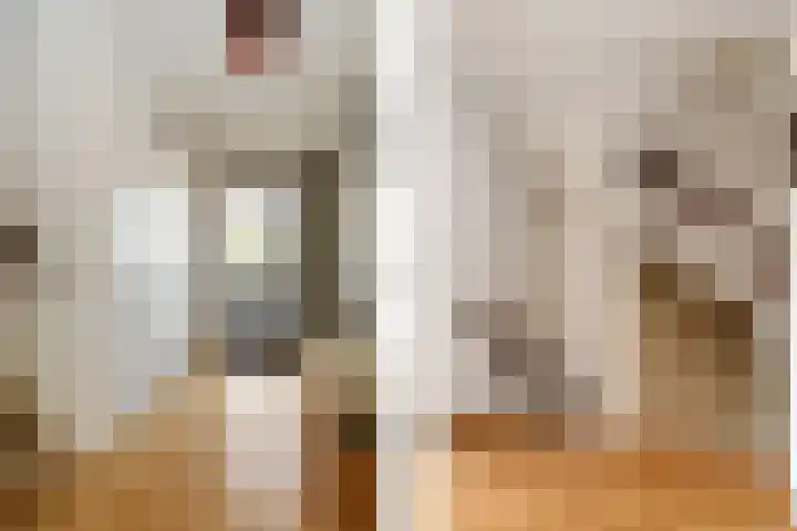 Dovenetel 21 Haelen thumbnail 8