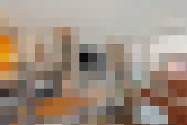 Dovenetel 24 Naaldwijk thumbnail 11
