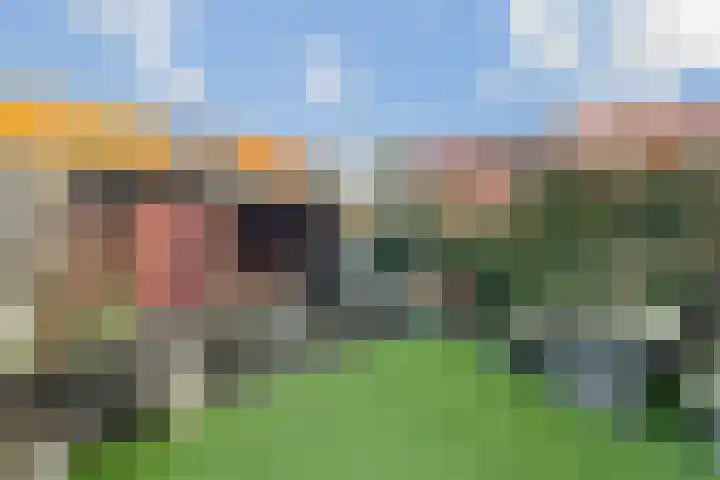 Dovenetel 24 Naaldwijk thumbnail 13