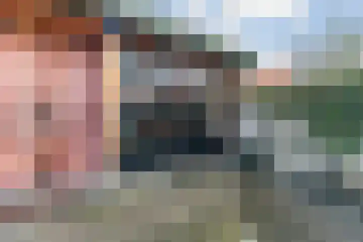 Dovenetel 24 Naaldwijk thumbnail 15