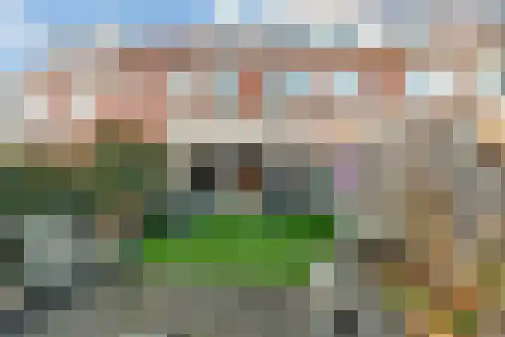 Dovenetel 24 Naaldwijk thumbnail 16