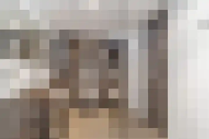 Dovenetel 24 Naaldwijk thumbnail 23