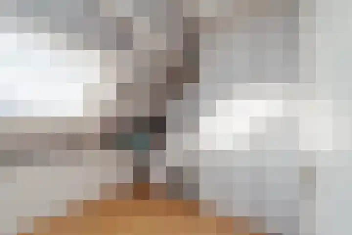 Dovenetel 24 Naaldwijk thumbnail 24