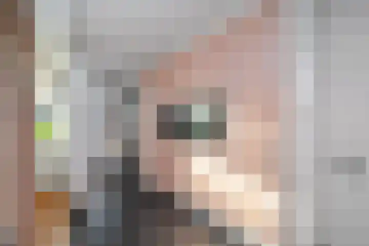Dovenetel 24 Naaldwijk foto 3