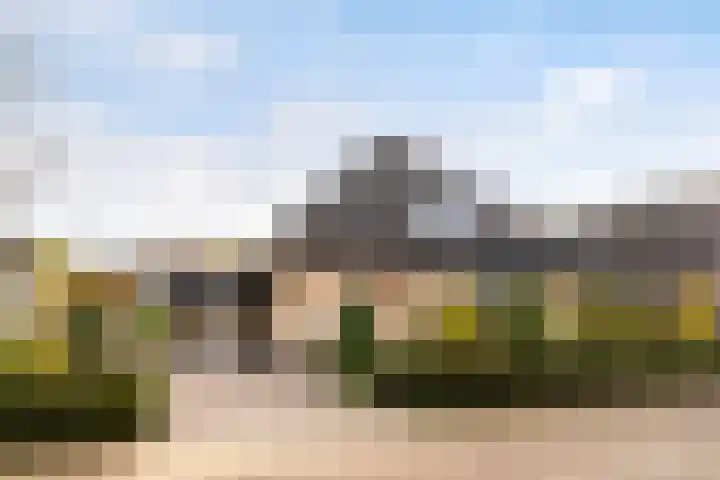 Dovenetel 4 Nijkerk