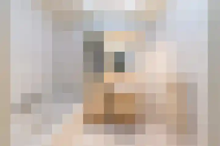 Dovenetel 4 Nijkerk thumbnail 14