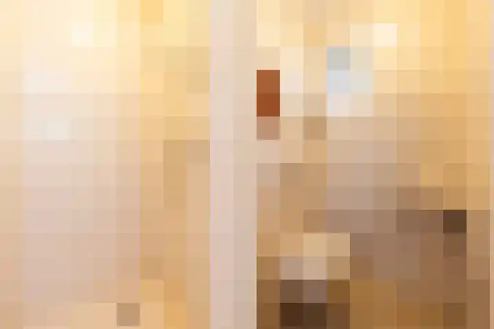 Dovenetel 4 Nijkerk thumbnail 15
