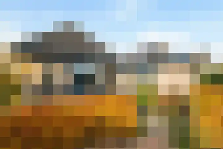 Dovenetel 4 Nijkerk foto 2