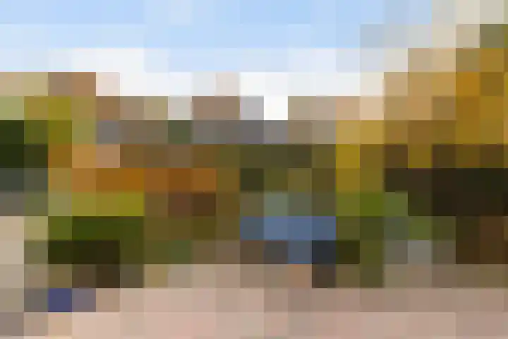 Dovenetel 4 Nijkerk thumbnail 25