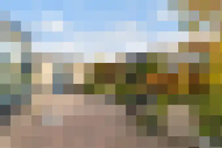 Dovenetel 4 Nijkerk thumbnail 26