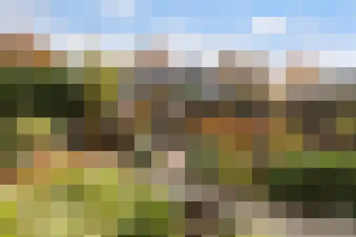 Dovenetel 4 Nijkerk thumbnail 27