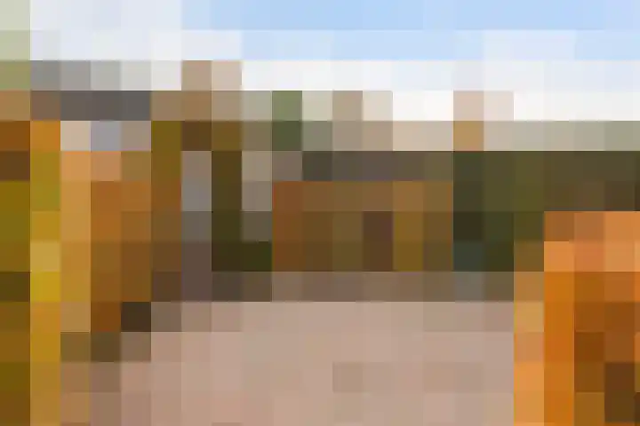 Dovenetel 4 Nijkerk thumbnail 28