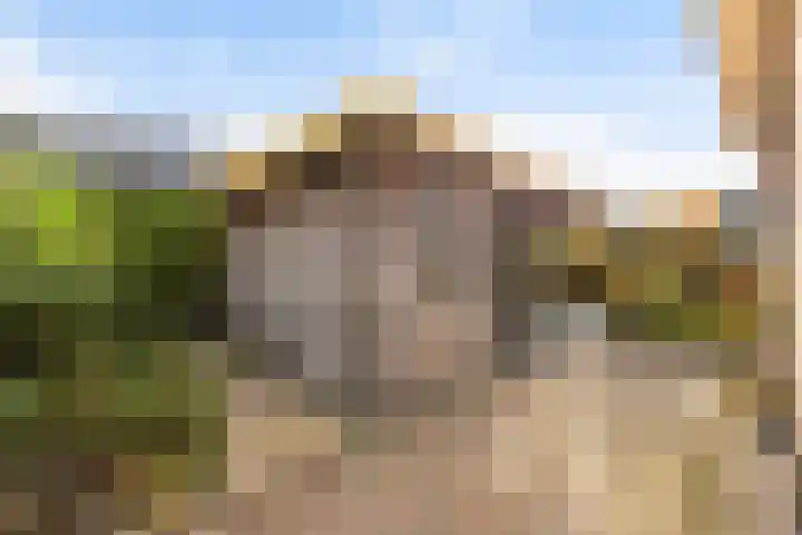 Dovenetel 4 Nijkerk thumbnail 29
