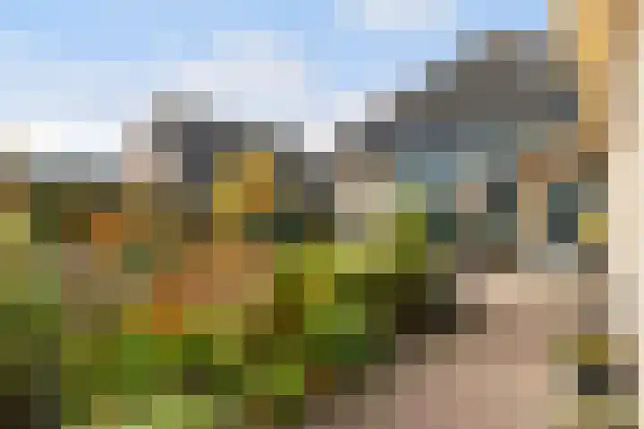 Dovenetel 4 Nijkerk thumbnail 30