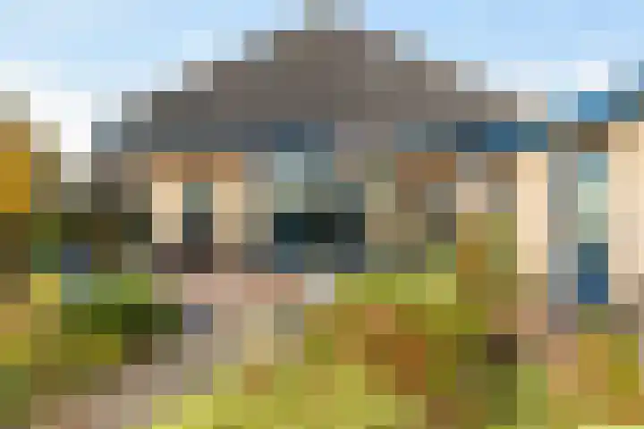 Dovenetel 4 Nijkerk thumbnail 31