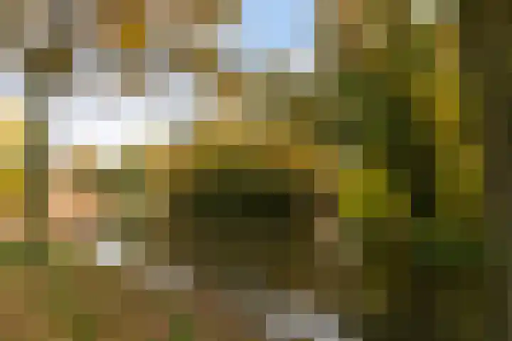 Dovenetel 4 Nijkerk thumbnail 33