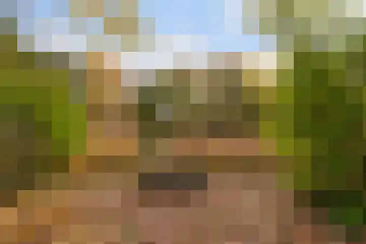 Dovenetel 4 Nijkerk thumbnail 34