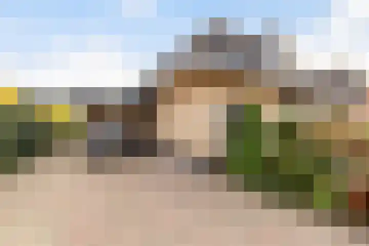 Dovenetel 4 Nijkerk thumbnail 35