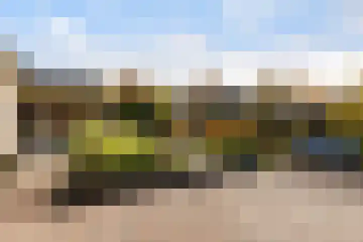 Dovenetel 4 Nijkerk thumbnail 4