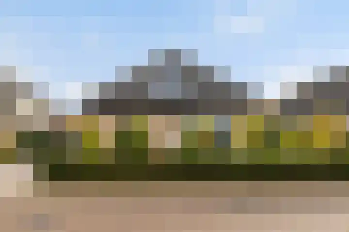 Dovenetel 4 Nijkerk thumbnail 5