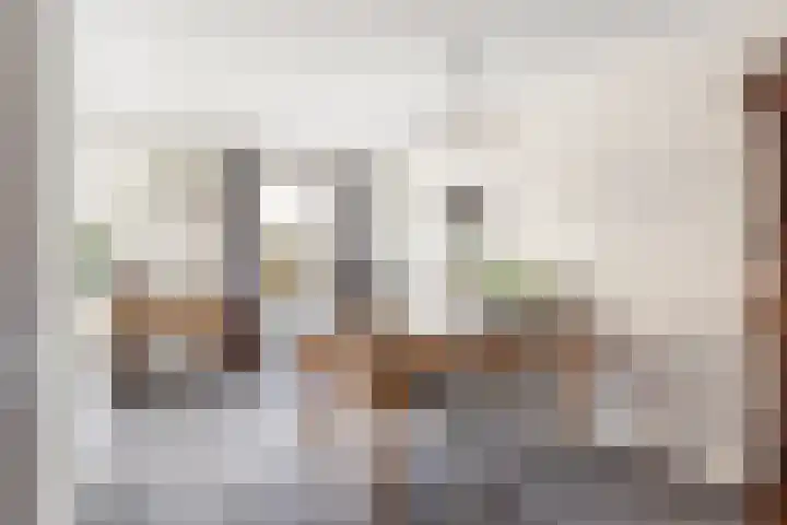 Dovenetel 4 Nijkerk thumbnail 9