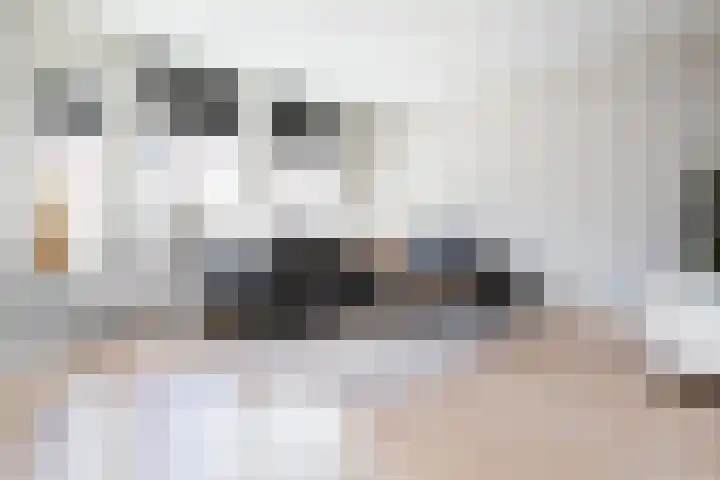 Dovenetel 46 Zwaag thumbnail 15