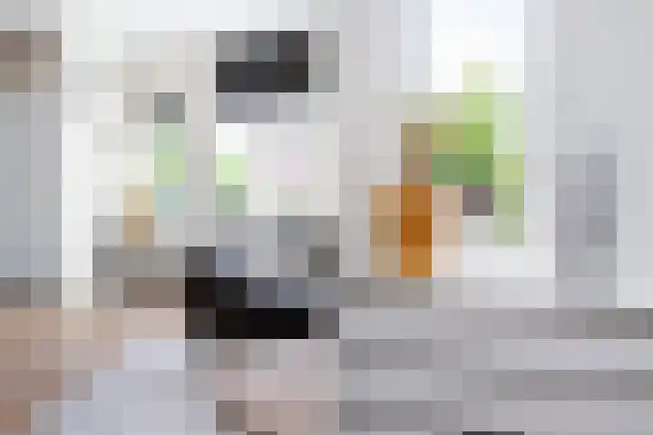 Dovenetel 46 Zwaag thumbnail 18
