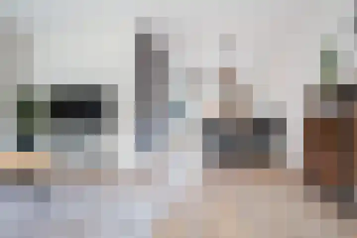 Dovenetel 46 Zwaag thumbnail 19