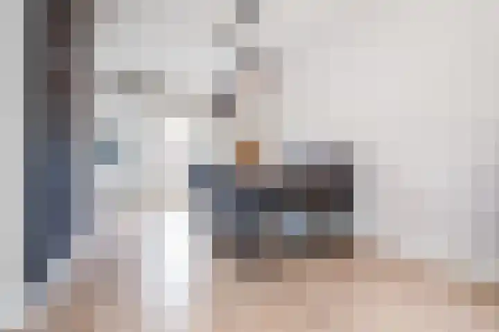 Dovenetel 46 Zwaag thumbnail 20