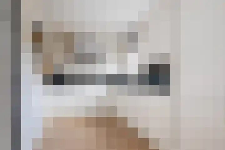 Dovenetel 46 Zwaag thumbnail 21